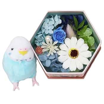 B　小鳥のフラワーアレンジ 楽天市場】鳥かごアレンジ 「陽だまり」プリザーブドフラワー